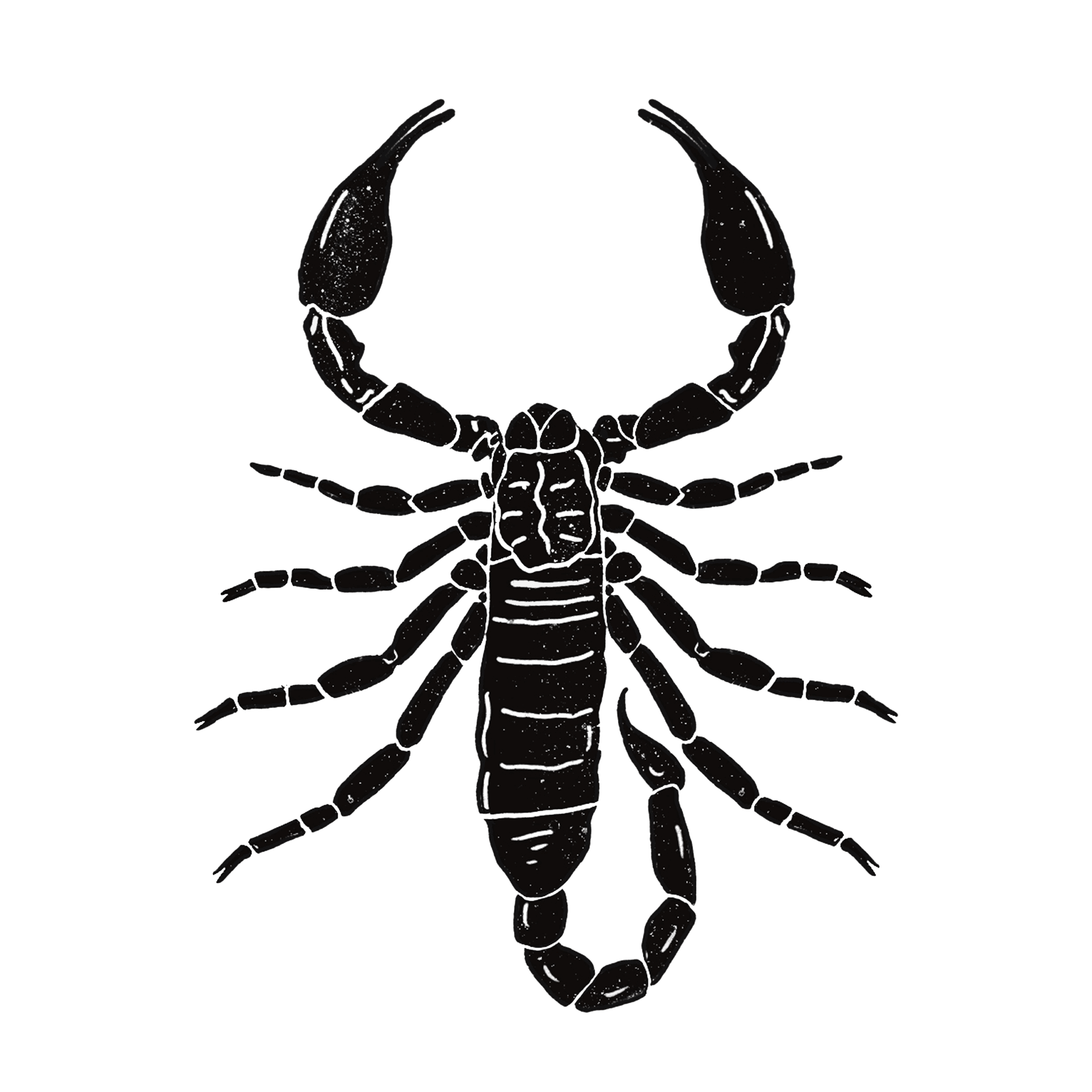 HWJScorpion